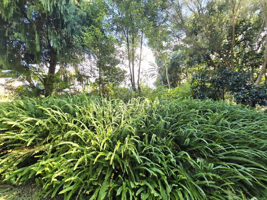 4 Bedroom Property for Sale in Bergsig Western Cape